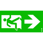 Cooper Securite - Pictogramme 90° ISO7010-E002 VD SS ELK PU pour Ultraled Planète 20M