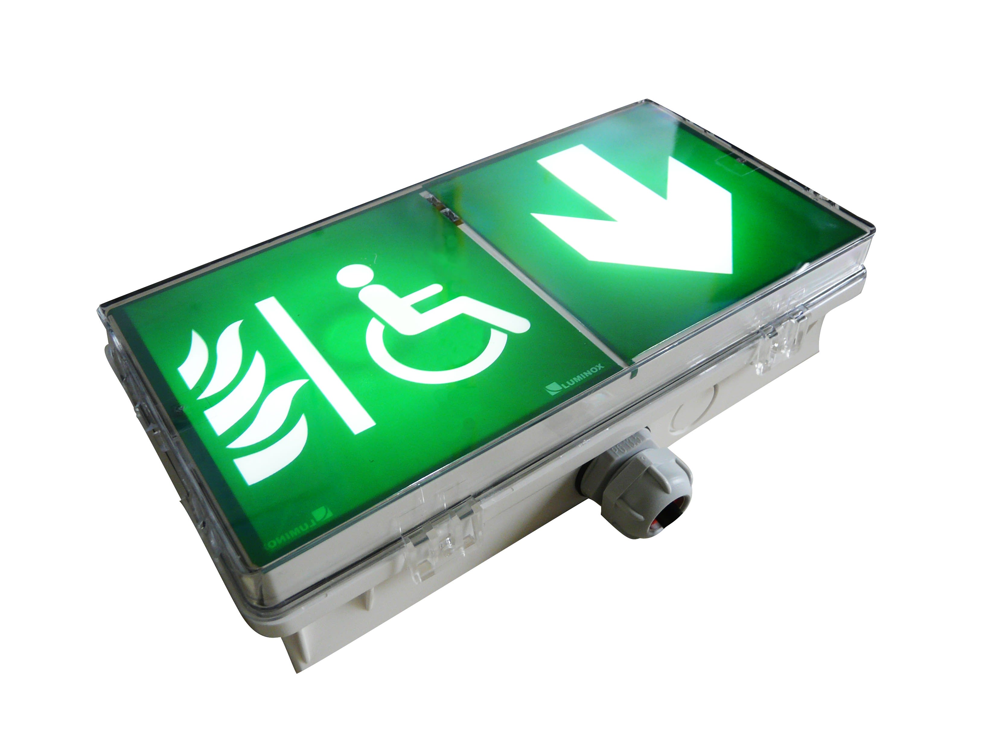 Cooper Securite - BAES évacuation SATI - fonction DBR - 45lm/1h - IP66 IK08