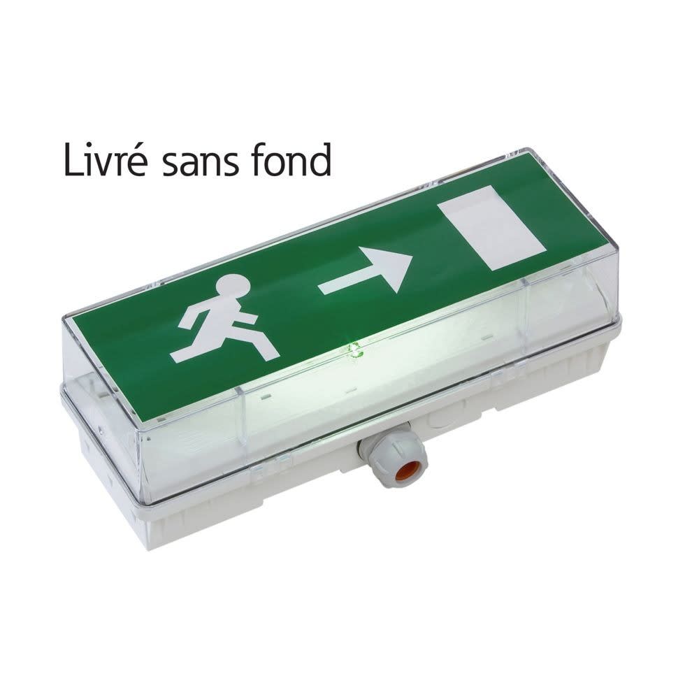 Cooper Securite - BAES d'évacuation UniLed+ 45C ES Reconditionné livré Sans fond