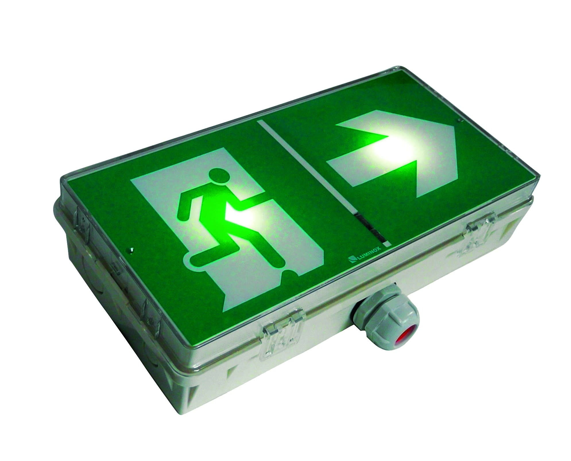 Cooper Securite - BAES bi-fonction SATI - 45lm/1h - 8lm/5h - IP66 IK08 - Pose mur/plafond