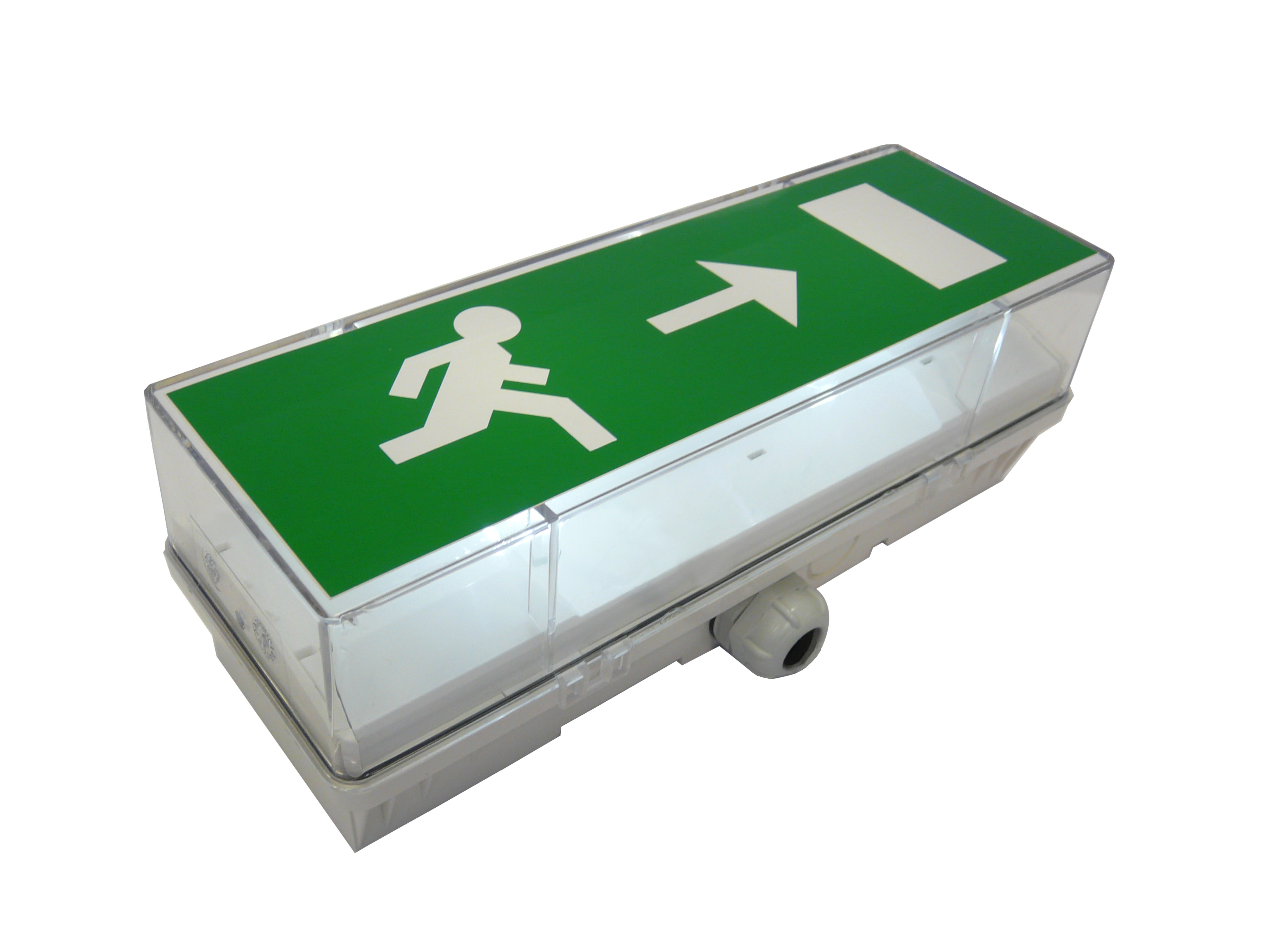 Cooper Securite - BAES évacuation SATI - Version maintenance - 45lm/1h - IP66 IK10