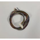 Cooper Securite - Câble de 12 sorties pour I-ON20 & 40H et extension EXP-PSU