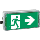 Cooper Capri - EXIT CG-S PR - Bloc d'évacuation ADR à leds pour source centrale - 25m