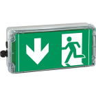Cooper Capri - EXIT 24V PU - Bloc d'évacuation à leds pour source centrale 12-24VDC - 25m