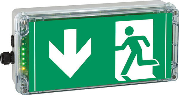 Cooper Capri - EXIT N PU - B.A.E.S d'évacuation à leds - 25m/3h - 1xM20 plast. + 1 bouchon M20