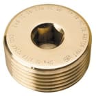 Cooper Capri - Bouchon 'd/e' affleurant NPT 1"1/4 IX