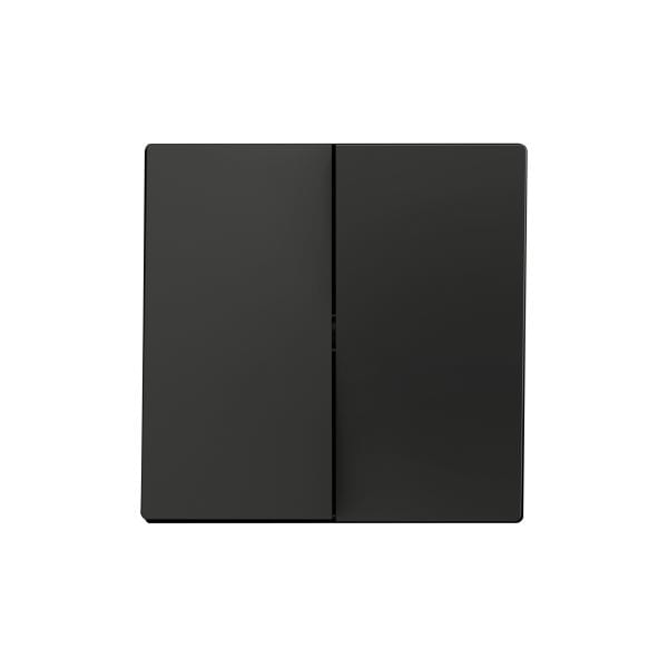 ZENNIO - ZS55. Touche double pour mécanisme 55 x 55 mm - Anthracite