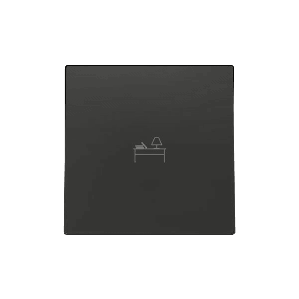 ZENNIO - ZS55. Touche pour mécanisme 55 x 55 mm - Anthracite - Personnalisé. Minimum d...