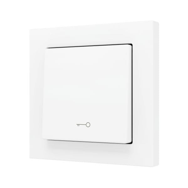 ZENNIO - ZS55. Bouton poussoir Soft simple pour 1 entrée binaire 55 x 55 mm ? Icône de...