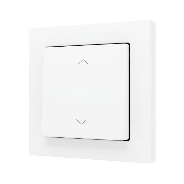 ZENNIO - ZS55. Bouton poussoir Soft simple pour 2 entrées binaires 55 x 55 mm ? Icône ...