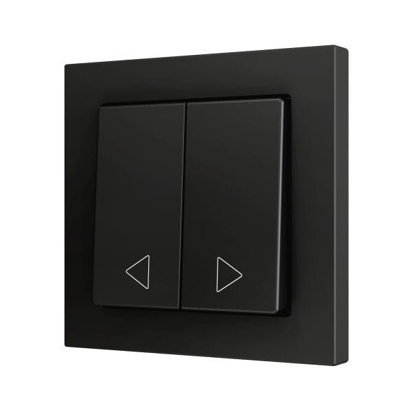 ZENNIO - ZS55. Bouton poussoir "Soft" double pour 2 entrées binaires 55 x 55 mm ? Anth...