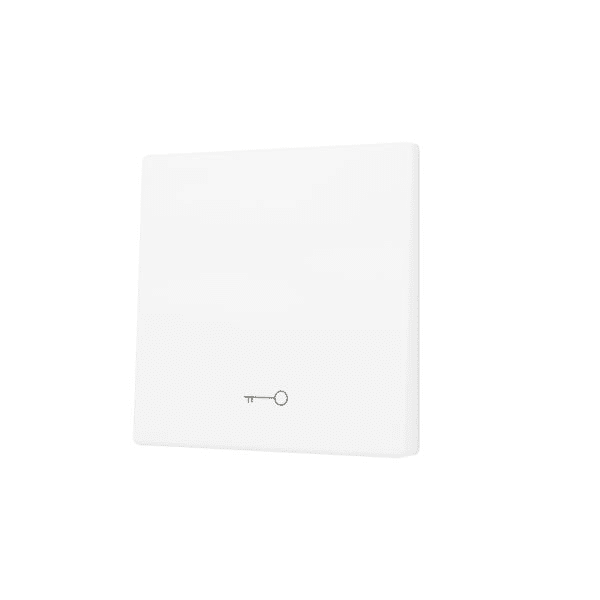 ZENNIO - ZS55. Cache pour bouton poussoir Soft KNX simple 55 x 55 mm. Appui en bas - I...