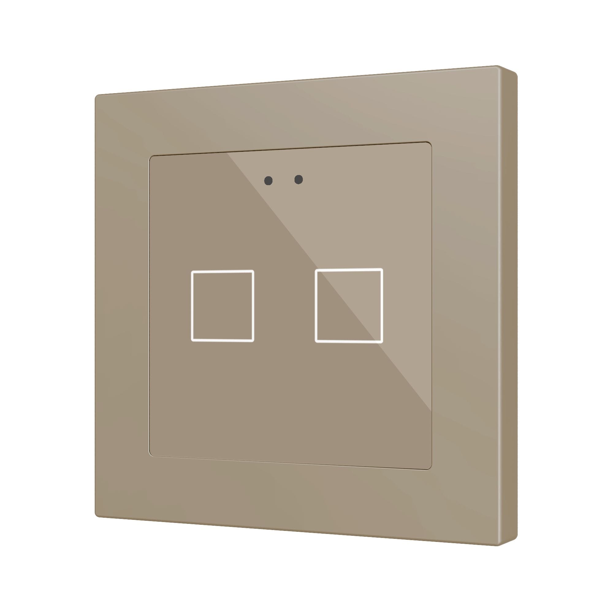 ZENNIO - Flat RGB 55 X2. Interrupteur capacitif en verre 55 x 55 ? 2 boutons - Champag...