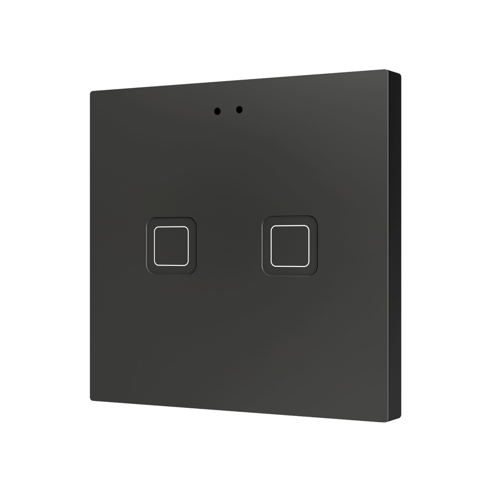 ZENNIO - Tecla RGB 2. Interrupteur capacitif en polycarbonate ? 2 boutons - Anthracite
