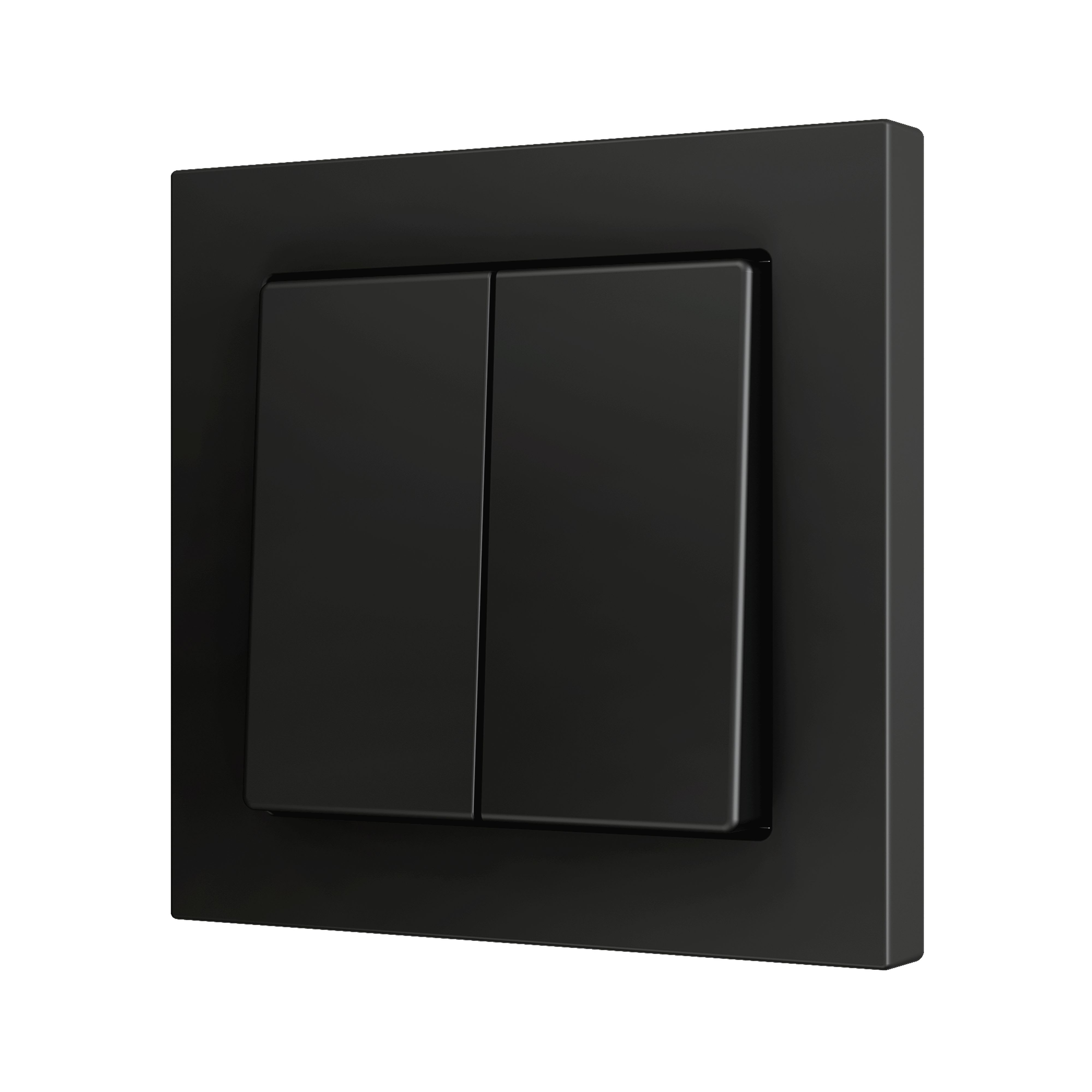 ZENNIO - ZS55. Bouton poussoir "Soft" double pour 2 entrées binaires 55 x 55 mm ? Anth...