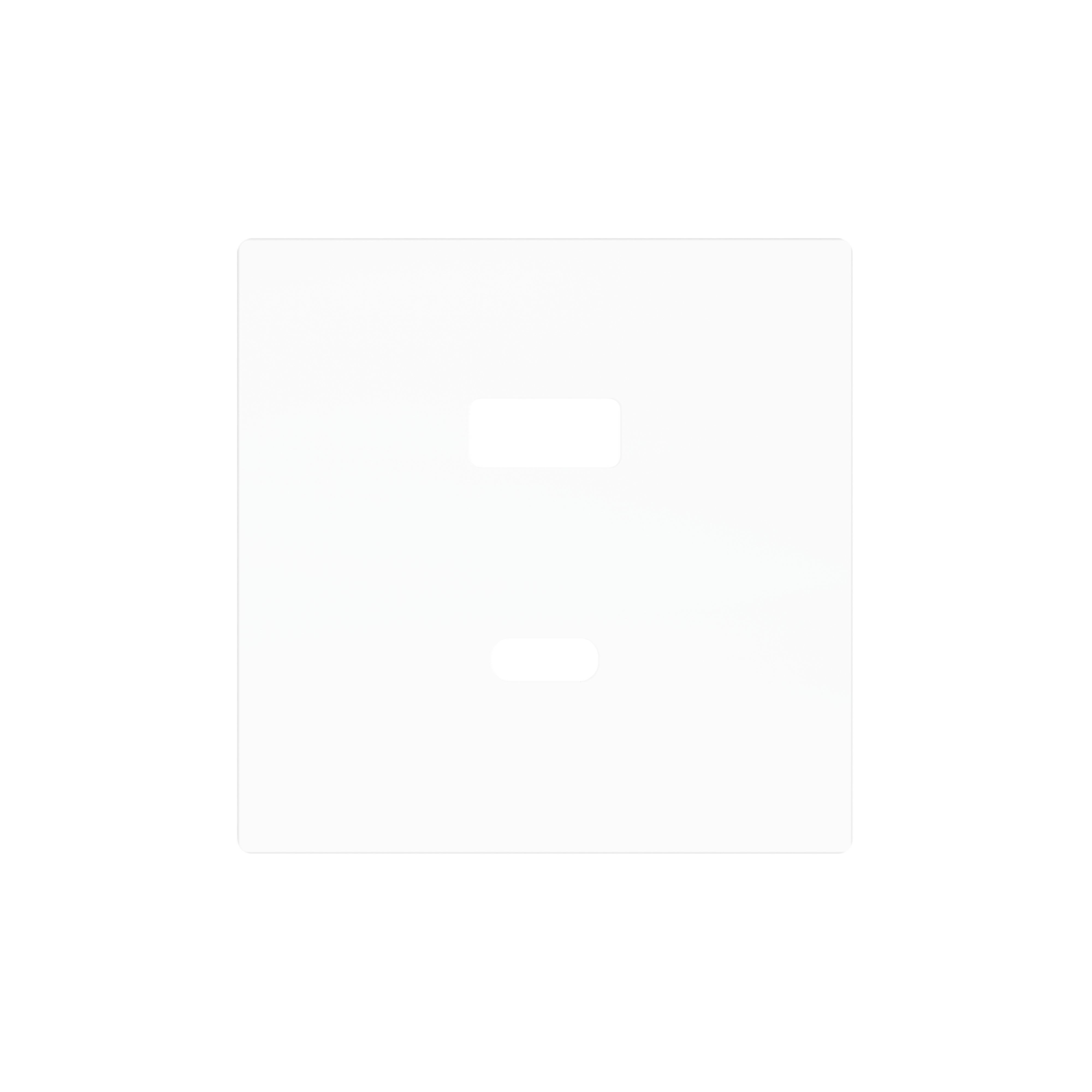 ZENNIO - ZS55. Cache pour chargeur USB double C+A 55 x 55 mm - Blanc mat