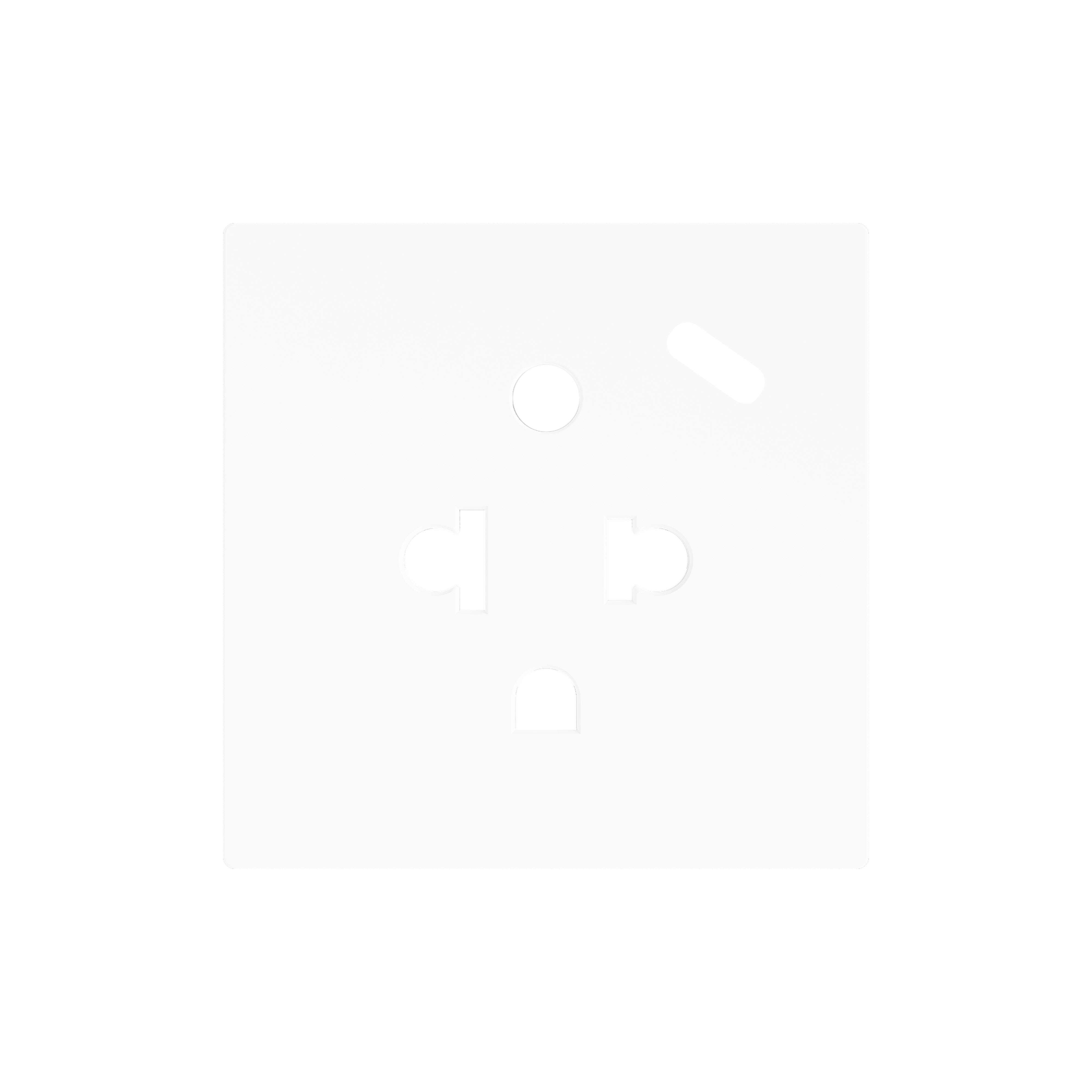 ZENNIO - ZS55. Euro-American socket cover with USB C 55x55 mm - Matt white