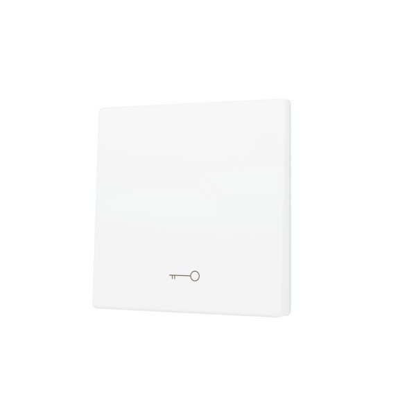 ZENNIO - ZS55. Cache pour bouton poussoir Soft KNX simple 55 x 55 mm. Appui en bas - I...