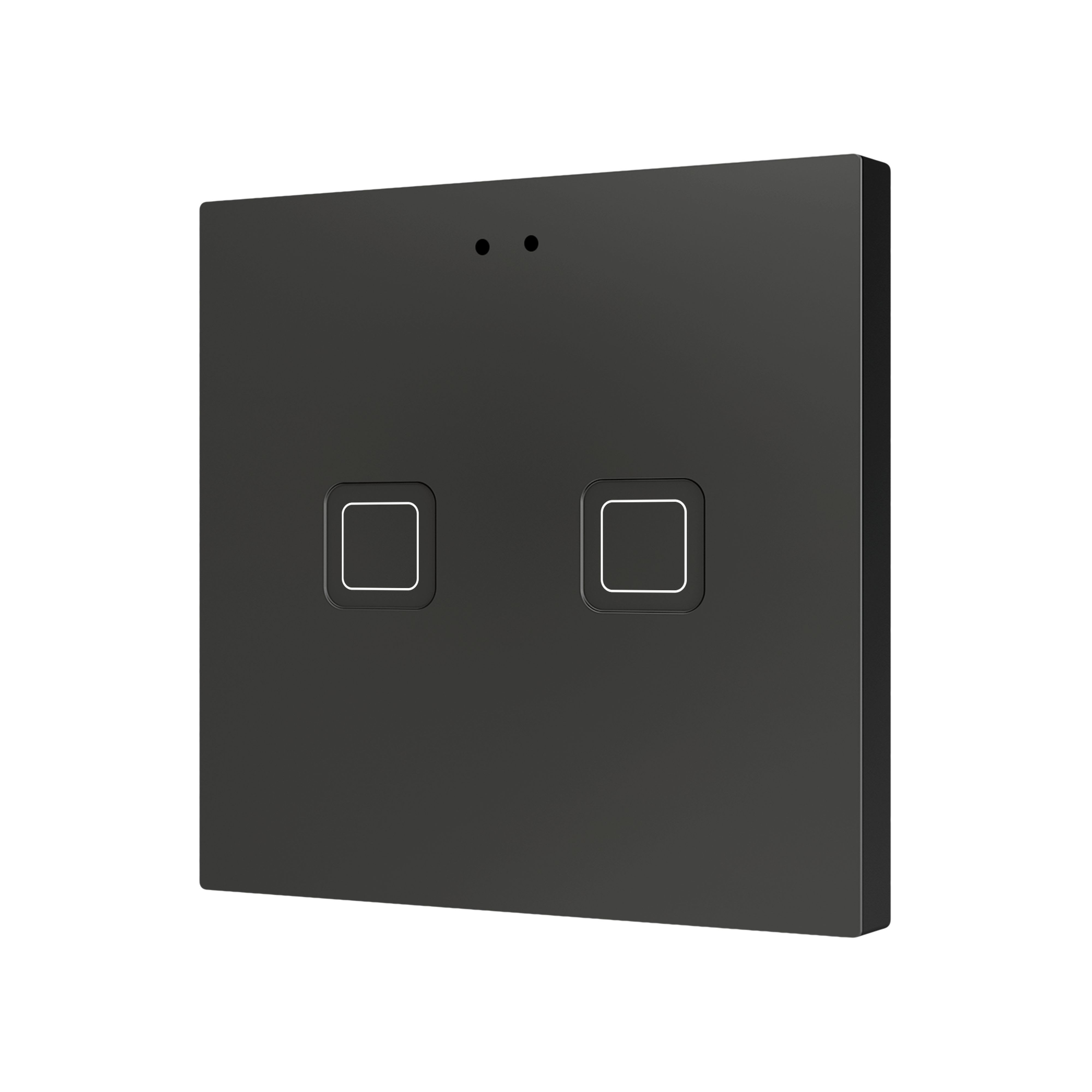 ZENNIO - Tecla 2. Interrupteur capacitif en polycarbonate ? 2 boutons - Anthracite