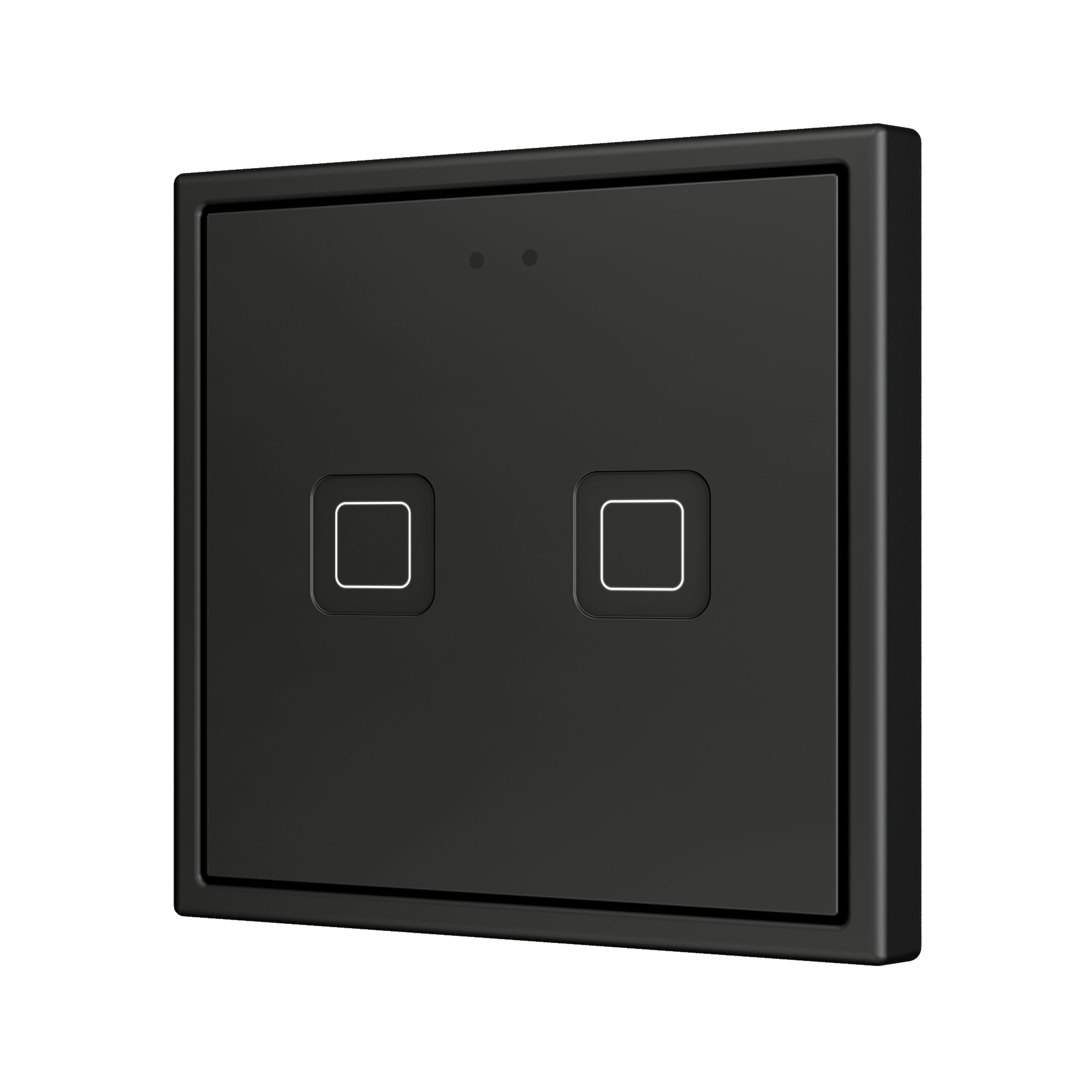 ZENNIO - Tecla 70 X2. Interrupteur capacitif en polycarbonate 70x70 ? 2 boutons - Anth...