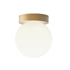 Astro - Applique Tacoma Surface Or mat Univers Salle de bain IP44