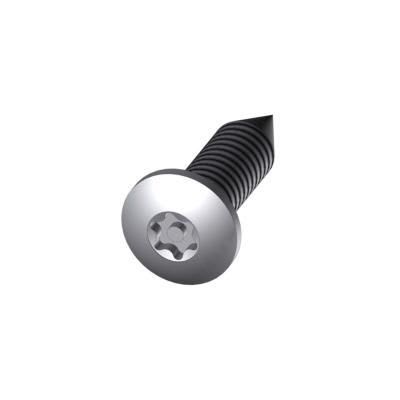 Atole - Boite de 100 vis inviolables A2 TC Torx avec 1 embout pour Bac 4.8*13
