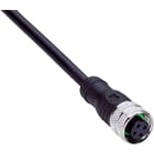 Sick - connecteurs et câbles, KA24-SIF2210