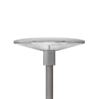 Signify - TownGuide LED Cone Plat Clair 62P BDP100 730 DW 49,5W 7000lm IP66 IK10 100 000h