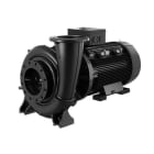POMPES GRUNDFOS DISTRIBUTION SA - NB 250-500/485AIAF1AESBQQEVW5