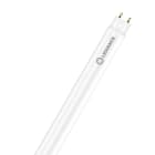 Ledvance - LED TUBE LEDVANCE T8 EM58 CONNECT 865 1,5m G13 24W 3600lm Verre + Gaine