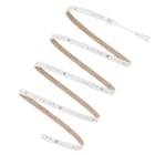 Ledvance - RUBAN LED PERFORMANCE PROTEGE AC 1300lm/m 3000K Rouleau de 50 mètres