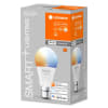 Vignette Photo produit 2
