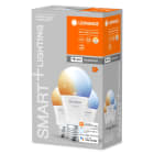 Ledvance - LEDVANCE Smart+ WF A100 E27 TW BTE3 1521lm
