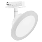 Ledvance - LEDVANCE Smart+ WF TP CIRCLE TW WT