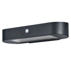 Ledvance - LDV ENDURA STYLE Solar Oval Sensor 6W/3000K 540lm IP44 Noir Applique Ledvance