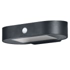 Ledvance - LDV ENDURA STYLE Solar Oval S Sensor 4W/3000K 380lm IP44 Noir Applique Ledvance