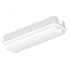 Ledvance - Bulkhead Compact rect EM 8W 500/660/800lm 830/840 IP65 blanc hublot Ledvance