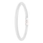 Ledvance - LED T5 FC22 EXT 11.6W 840 2GX13 Dim fonctionne sur alim spécifique EXT