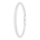 Ledvance - LED T5 FC22 EXT 11.6W 865 2GX13 Dim fonctionne sur alim spécifique EXT