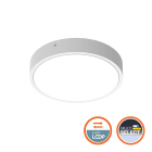 Ledvance - Hublot Bulkhead Rond 300 DALI 16W/3000K 2000lm TouchDIM IK10 IP65 Blanc Everloop
