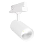 Ledvance - Spot sur rail D80 DALI 20W/3000K 3600lm IRC90 24° 120lm/W refl remplaçable Blanc