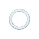 Ledvance - T9 Lumilux circulaire 22W/840 C G10Q OSRAM Tube Fluorescent