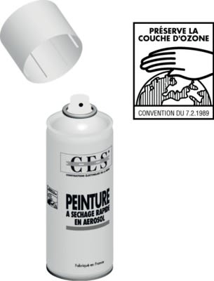 NIEDAX - Bombe aérosol Blanc 4 RAL 9003