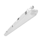 ESYLUX - Luminaire étanche OLIVIA-2 MPL 1200 OP 5000 840 IP66 5x2.5 MD DALI-2