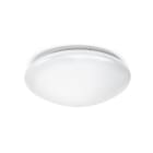 ESYLUX - Luminaires muraux et de plafond ELLEN WCL 300 OP 1600 840 IP20