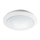 ESYLUX - Luminaires muraux et de plafond ALMA WCL 300 OP 1600 830 IP65
