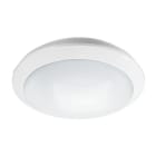 ESYLUX - Luminaires muraux et de plafond ALMA WCL 300 OP 1600 830 IP65