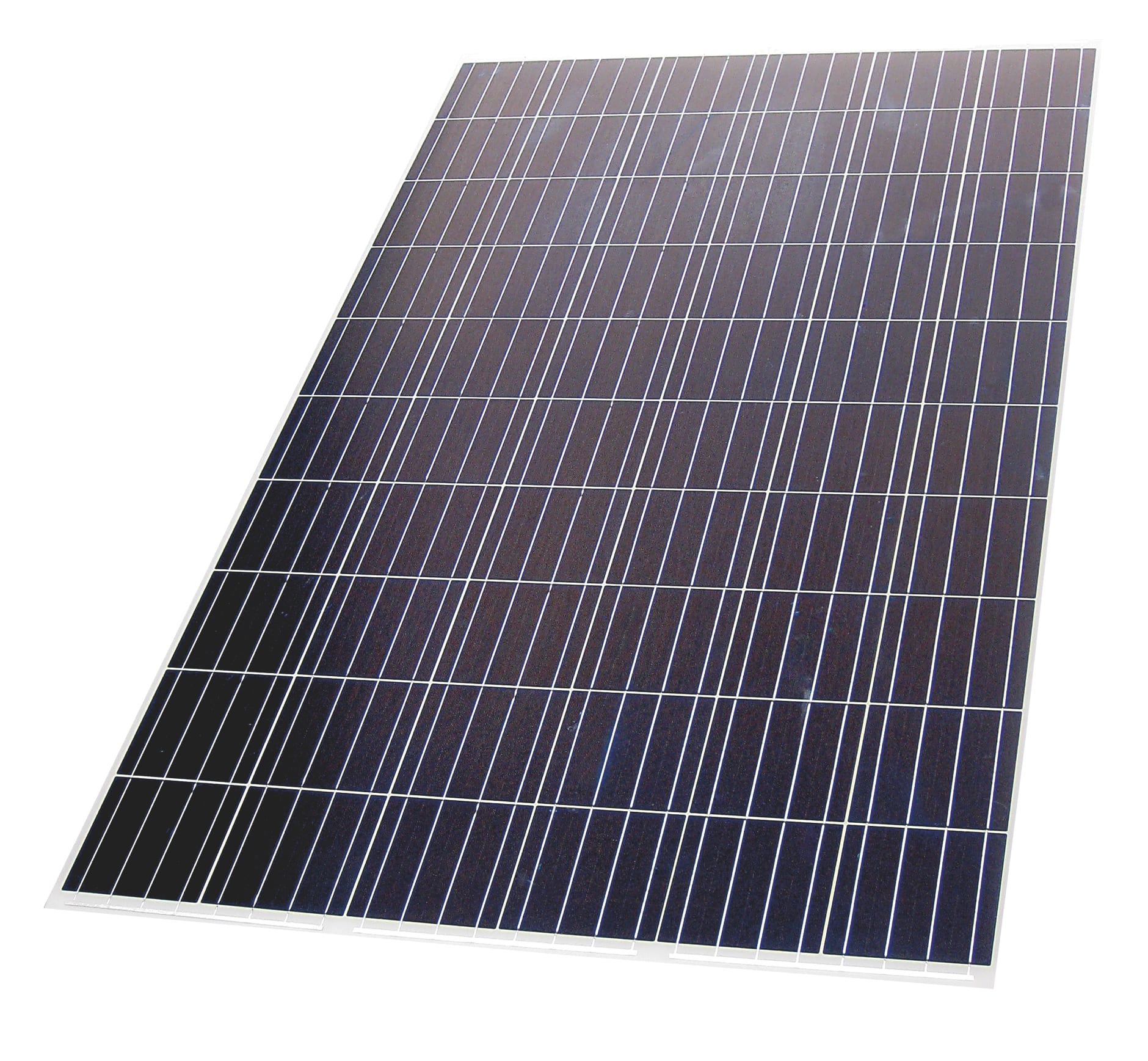 Zodiac - CALAGE RED LINE +