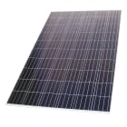 Zodiac - CALAGE RED LINE +