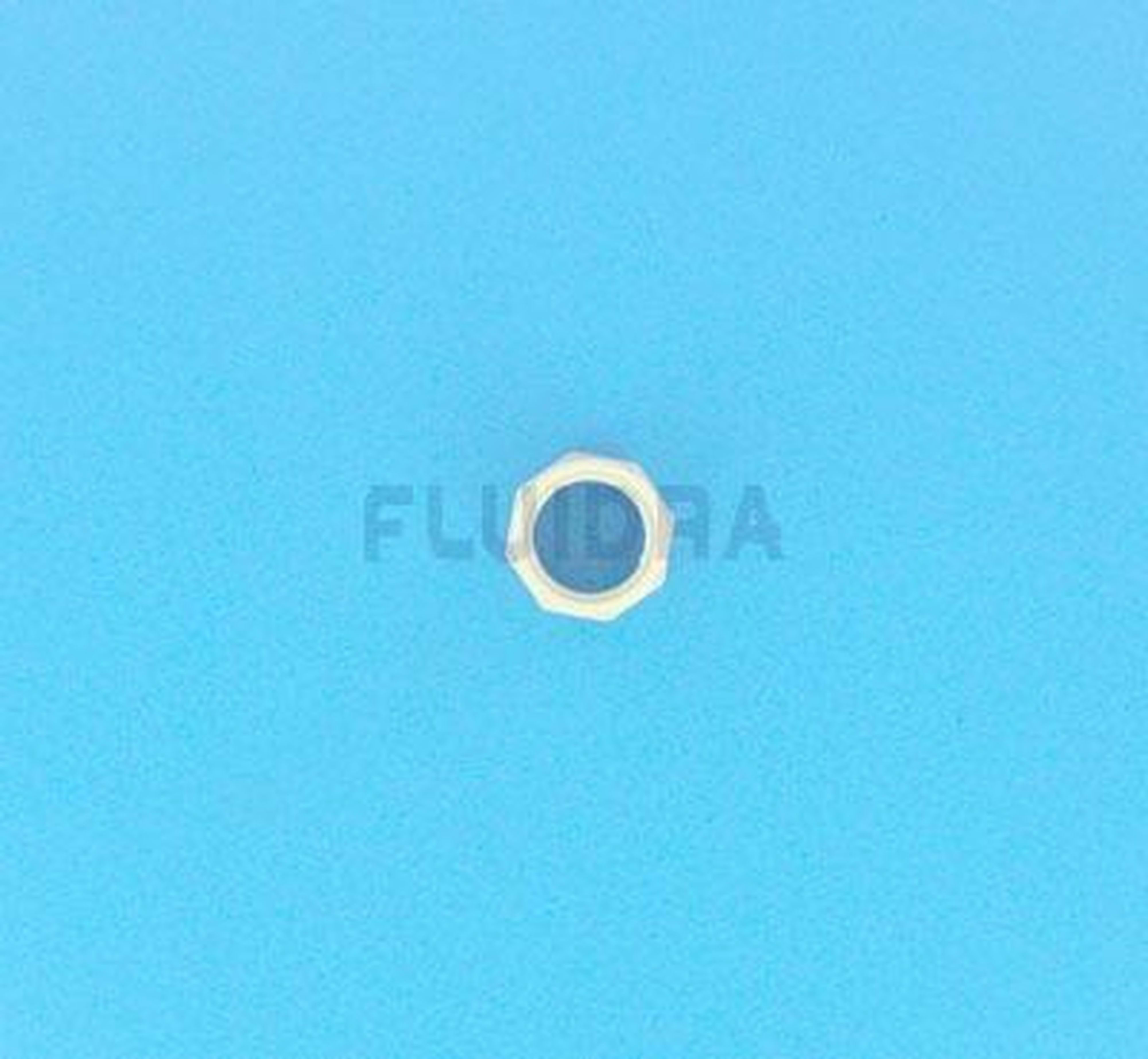 Zodiac - NUT, FEED HOSE (380/280/180)